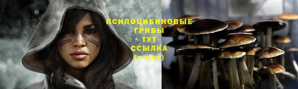 тгк Баксан