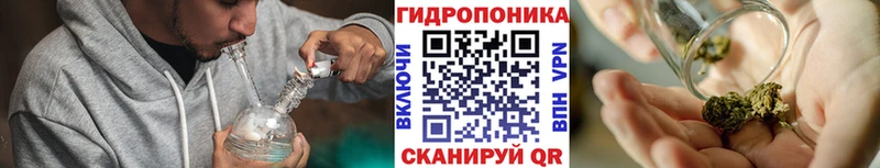 Бошки Шишки Amnesia Верхнеуральск